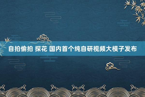 自拍偷拍 探花 国内首个纯自研视频大模子发布