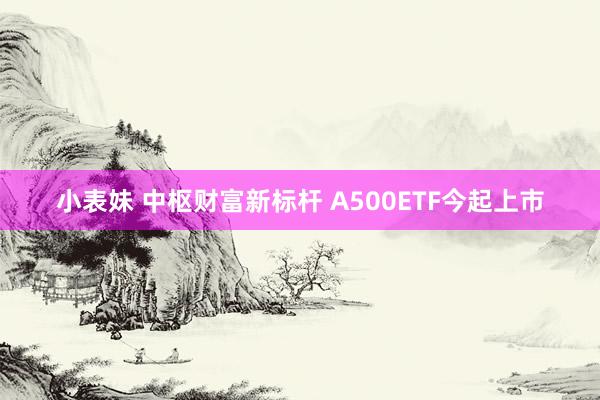 小表妹 中枢财富新标杆 A500ETF今起上市