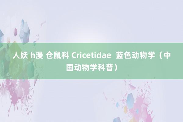 人妖 h漫 仓鼠科 Cricetidae  蓝色动物学（中国动物学科普）