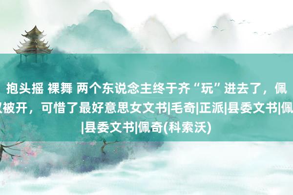 抱头摇 裸舞 两个东说念主终于齐“玩”进去了，佩奇组合双双被开，可惜了最好意思女文书|毛奇|正派|县委文书|佩奇(科索沃)