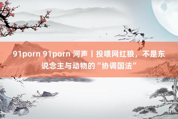 91porn 91porn 河声丨投喂网红狼，不是东说念主与动物的“协调国法”