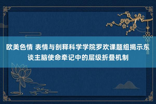 欧美色情 表情与剖释科学学院罗欢课题组揭示东谈主脑使命牵记中的层级折叠机制